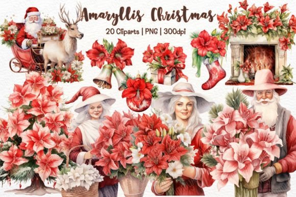 Amaryllis Christmas Watercolor Clipart & Illustrations
